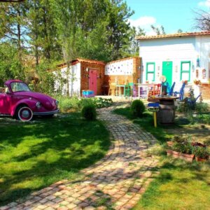 corumda kadin girisimciden lavanta kasri fotograf platosu B2xDqsu1