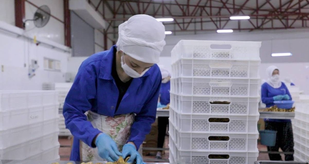 14 ulkeye ihracat yapan turk gida devi iflasin esiginde ypykuGW8