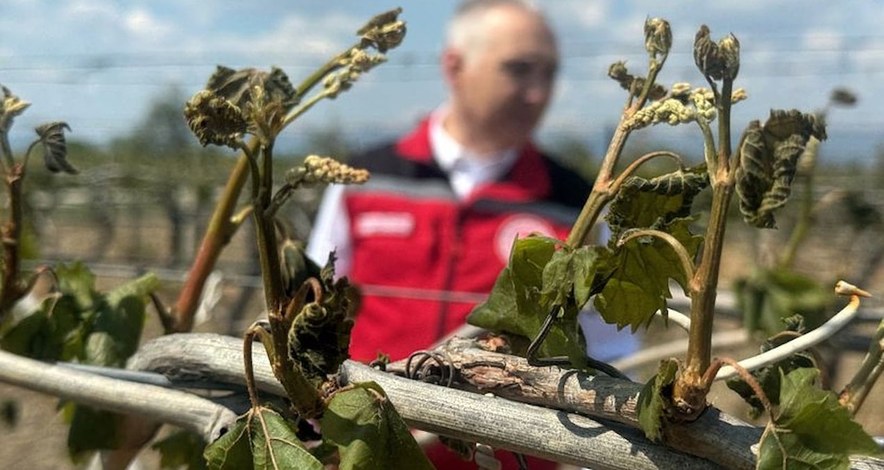 zirai dondan etkilenen ciftcilere destek odemesi yapilacak rxnY7Jmg