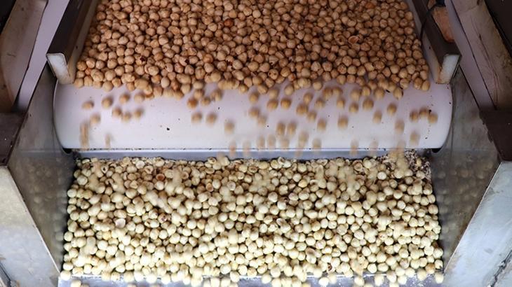 findik ihracatindan 16 milyar dolari askin gelir saglandi ipJT2nuh.jpg