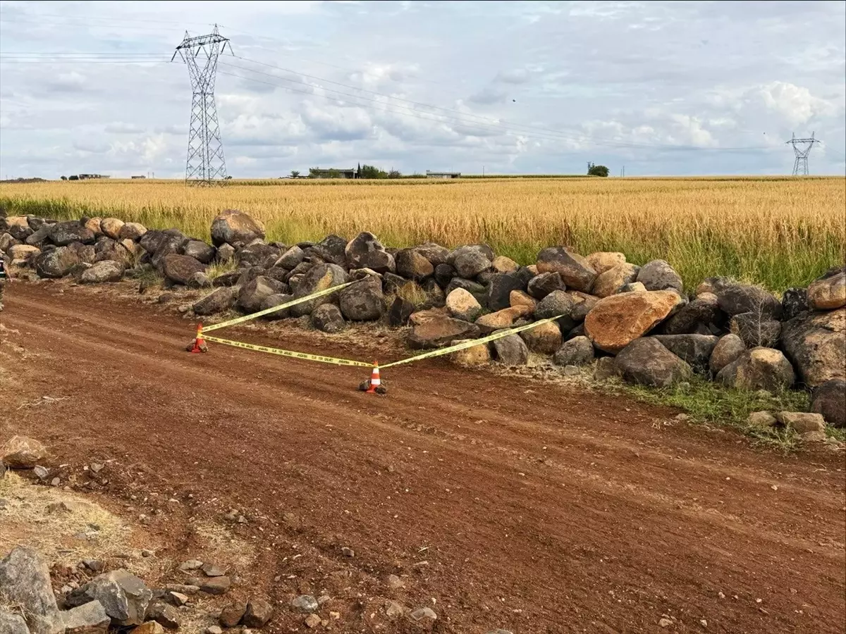 Siverek’te Tarla Mermisi Bulundu