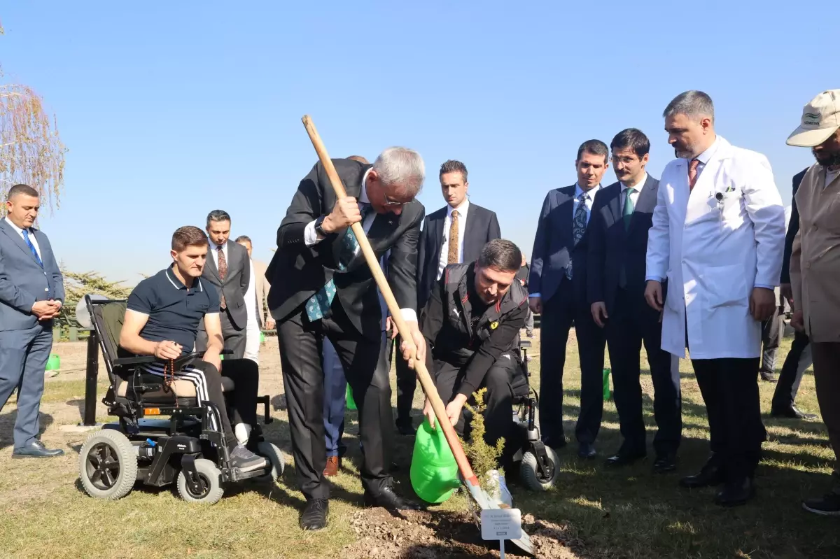 Bakan Memişoğlu, gazilerle fidan dikti