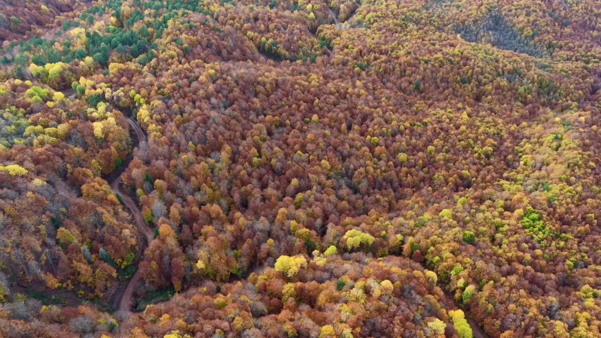 Bolu Mengen’de sonbahar güzelliği