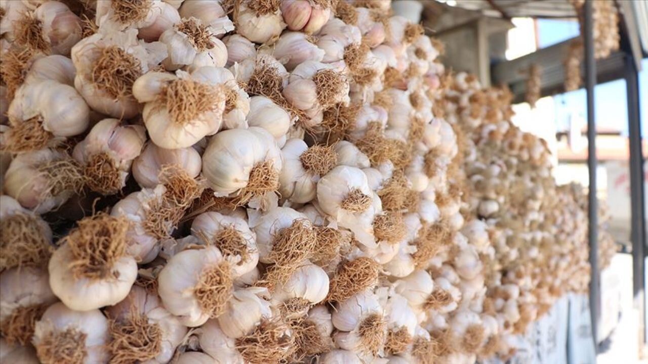 sarimsak yemek icin on neden ve taskopru sarimsaginin essiz yapisi 9aJApZhe.webp