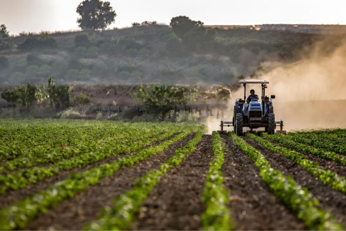 Tarım ÜFE ekimde geçen aya göre yüzde 4; geçen yılın aynı ayına göre yüzde 45,4  arttı