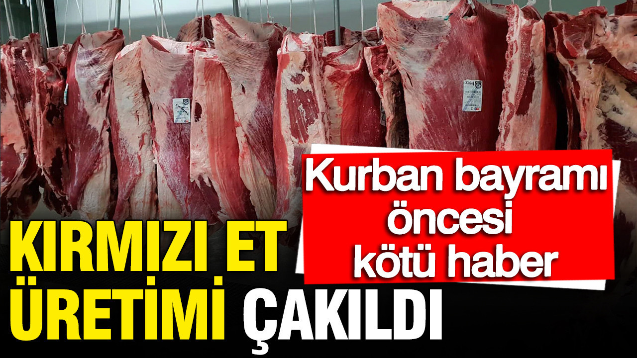 Kırmızı Et Üretiminde Düşüş: TÜİK’ten Kurban Bayramı Öncesi Endişe Verici Rakamlar